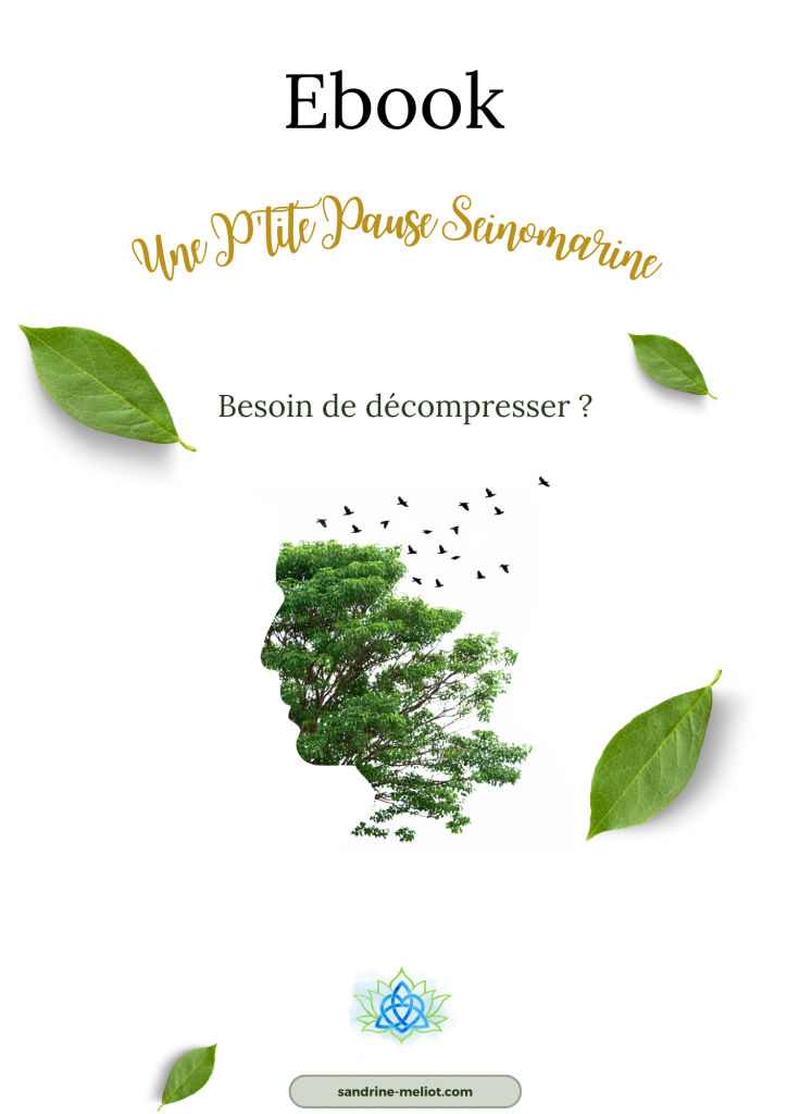 couverture Ebook une P'tite Pause Seinomarine